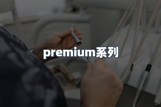 premium系列